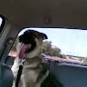 Meet your Posher, Rick